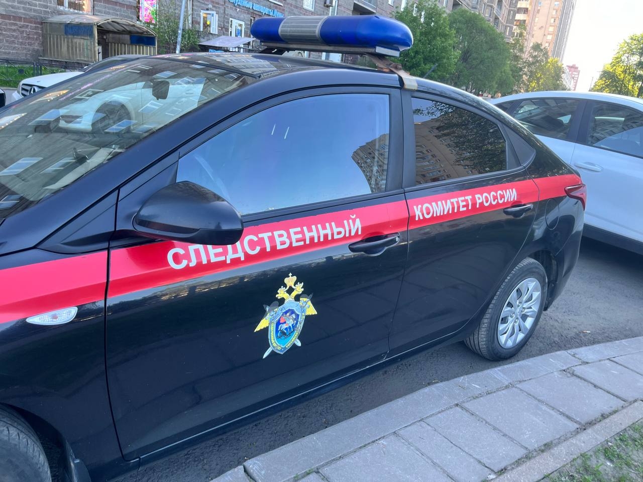 Бизнесмена ждет суд после тяжелых травм у посетителей веревочного парка в Ленобласти