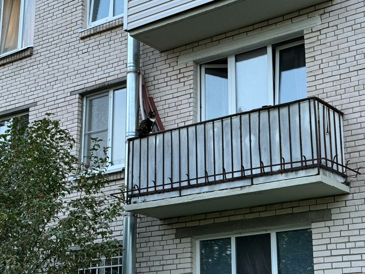 Жителям Петербурга напомнили, что за хождение по квартире в обнаженном виде могут отправить в ИК