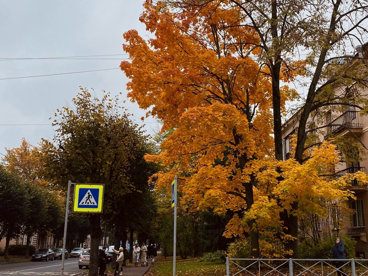 В Петербурге 16 октября станет последним теплым днем перед волной похолодания