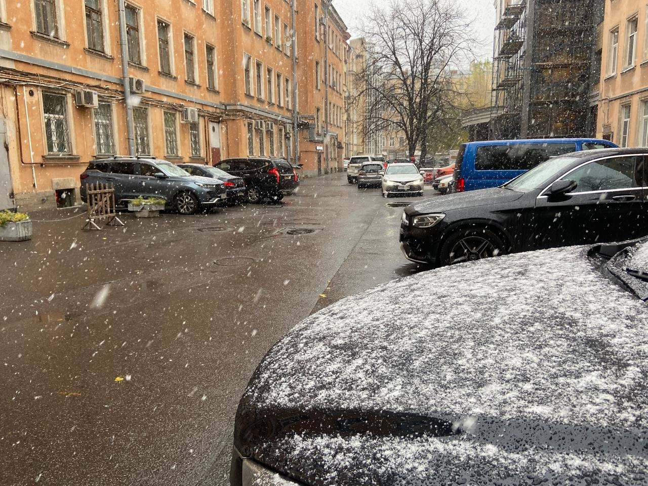 В Петербурге 3 апреля выпадет снег