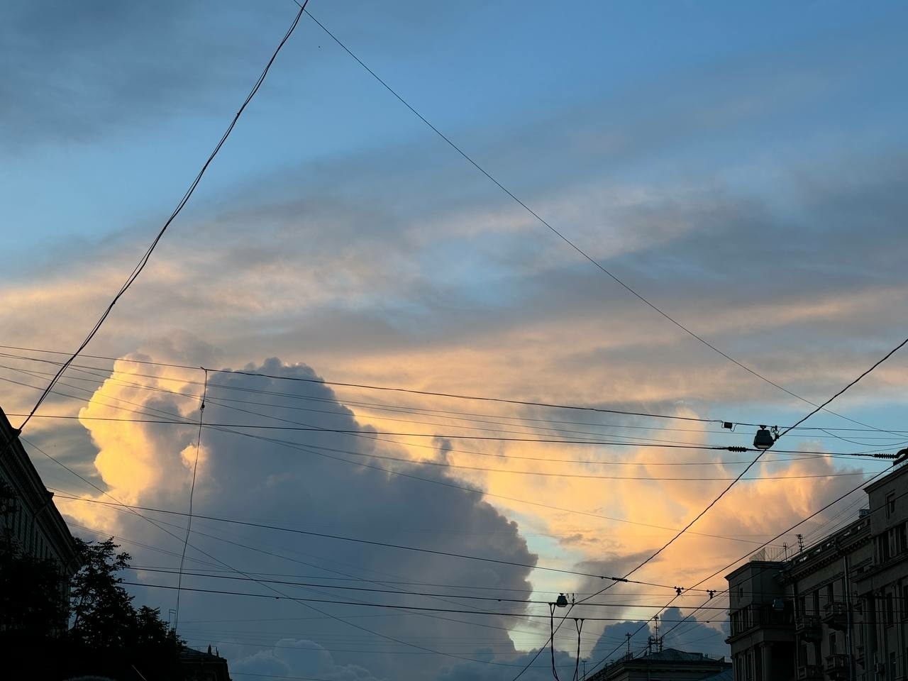 В Петербурге объявлен «желтый» уровень опасности из-за ветра