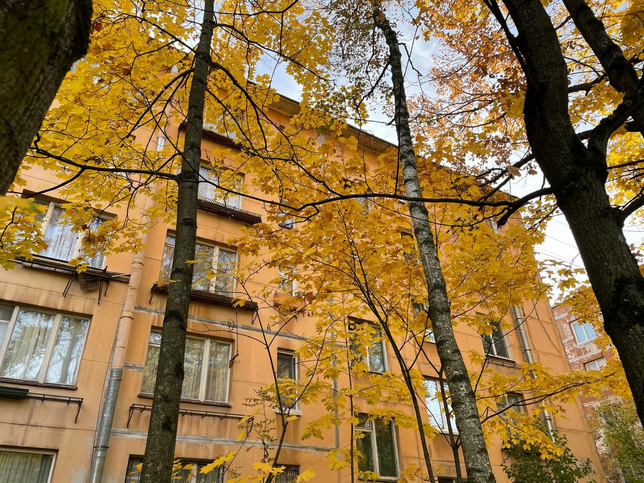В Петербурге с 17 по 19 октября ожидаются самые холодные дни осени