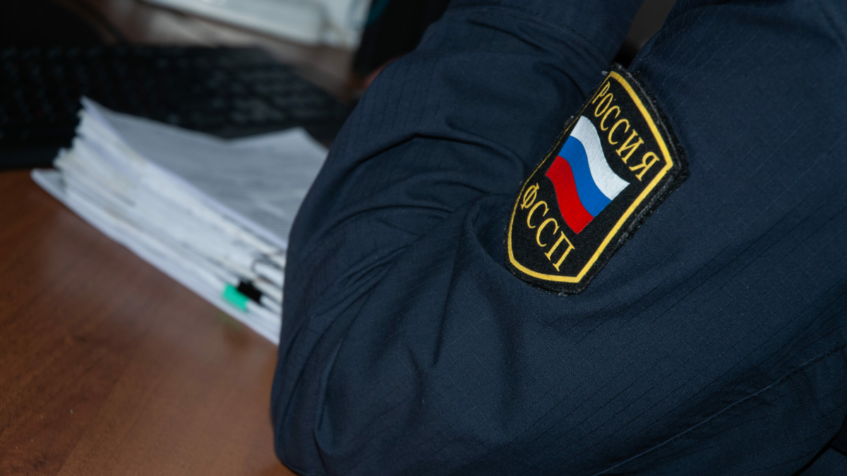 В Петербурге возбудили уголовку на несогласных мужчин, толкающих пристава